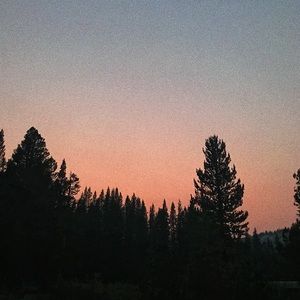 Meet your Posher, Sofia